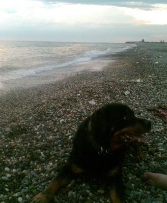 Прикрепленное изображение: CameraFX (4).jpg